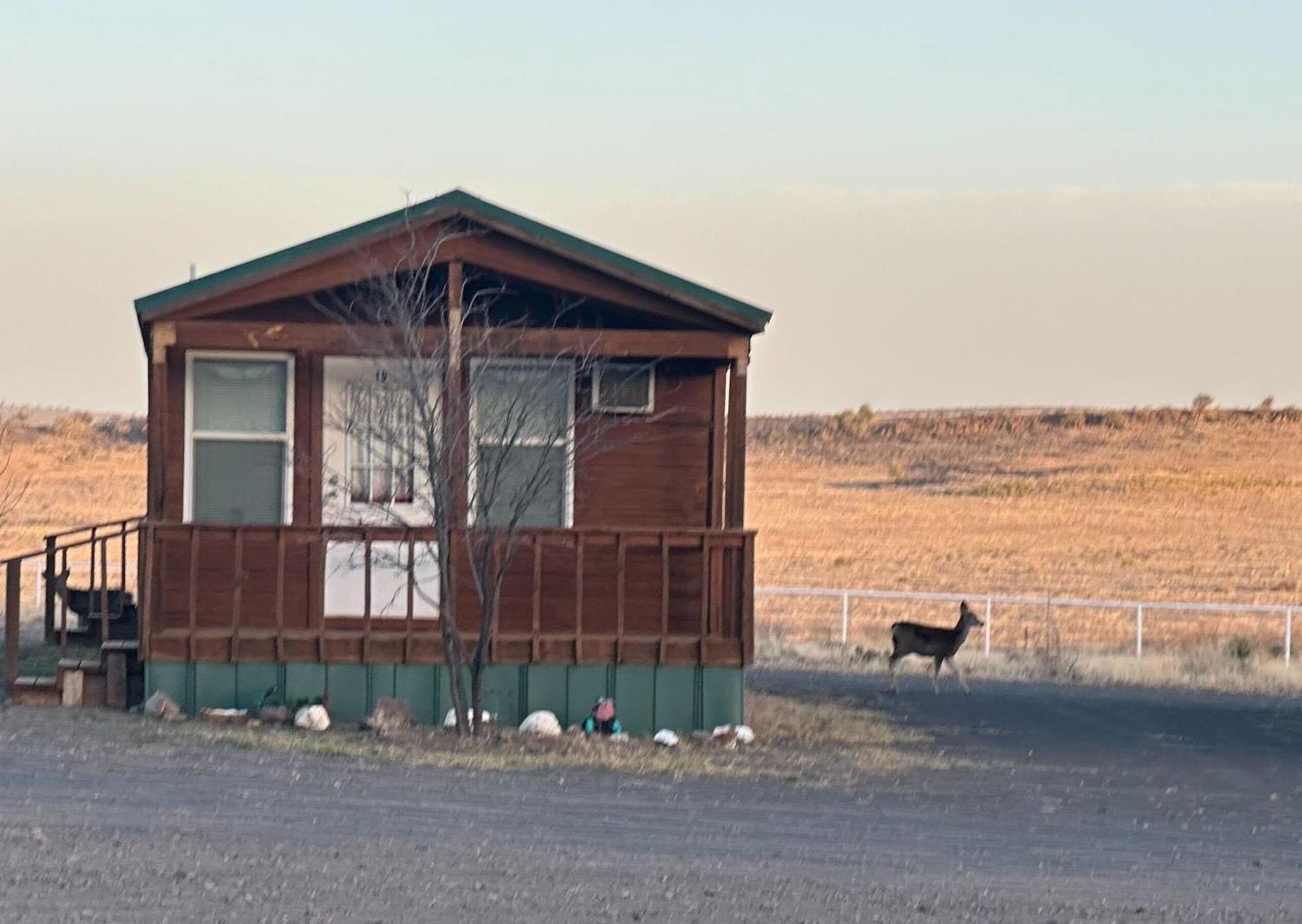 פורט דייוויס Mountain View Lodge מראה חיצוני תמונה